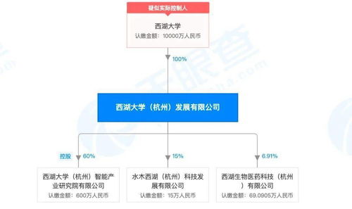 西湖大學(xué)科技成果融資近1億元，技術(shù)服務(wù)與技術(shù)開(kāi)發(fā)助力“東方斯坦福”崛起